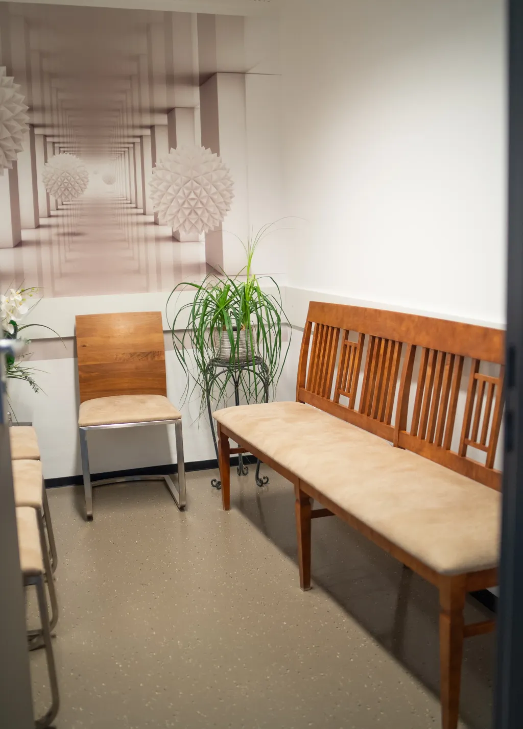 Wartebereich der Praxis mit Holzbank, Stuhl und Zimmerpflanze